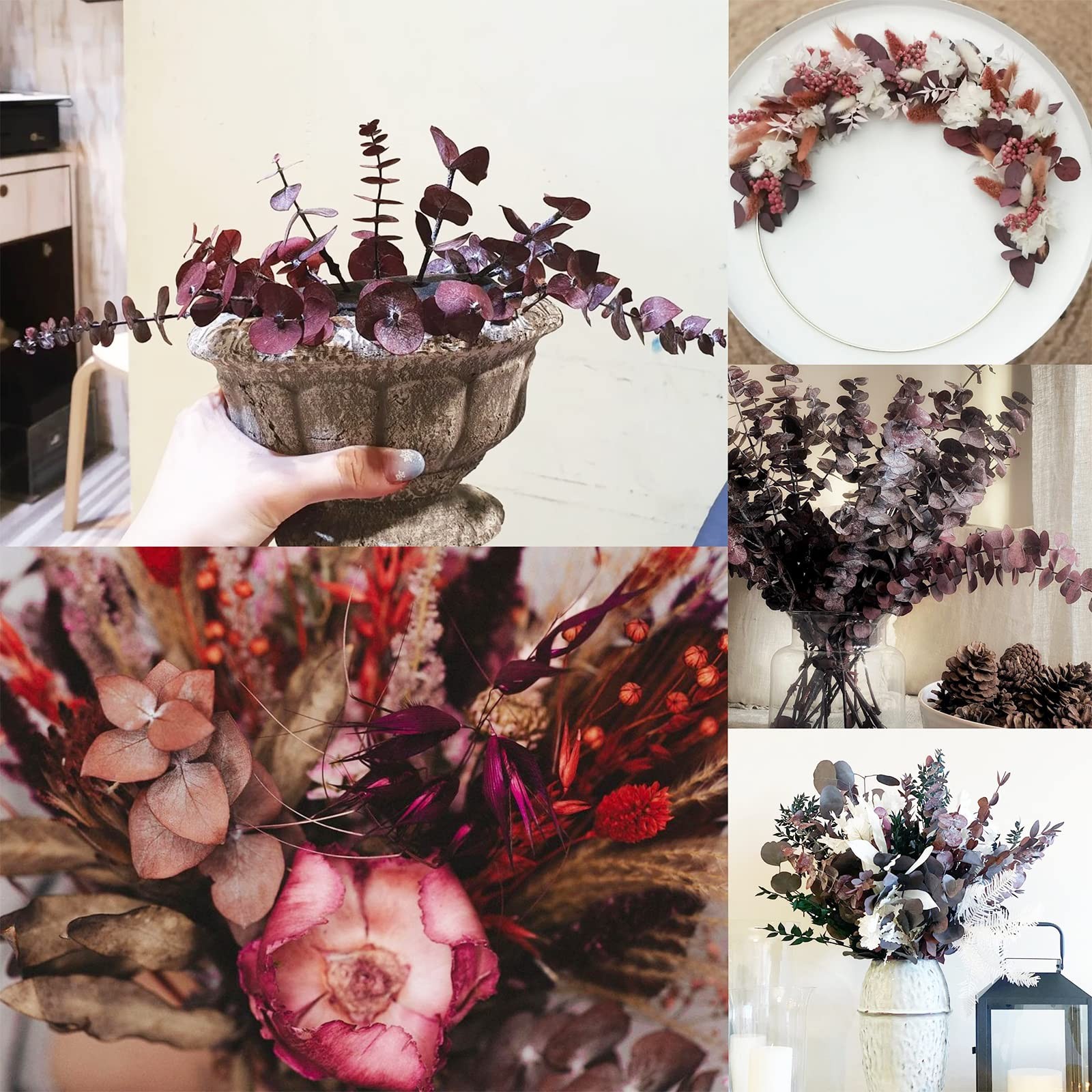 16Pcs Dried Red Eucalyptus Stems 17”, Real Preserved Branches