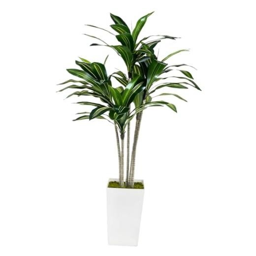 Artificial Dracaena Tree 5FT with White Tall Planter – Faux Tree Dracaena 5ft