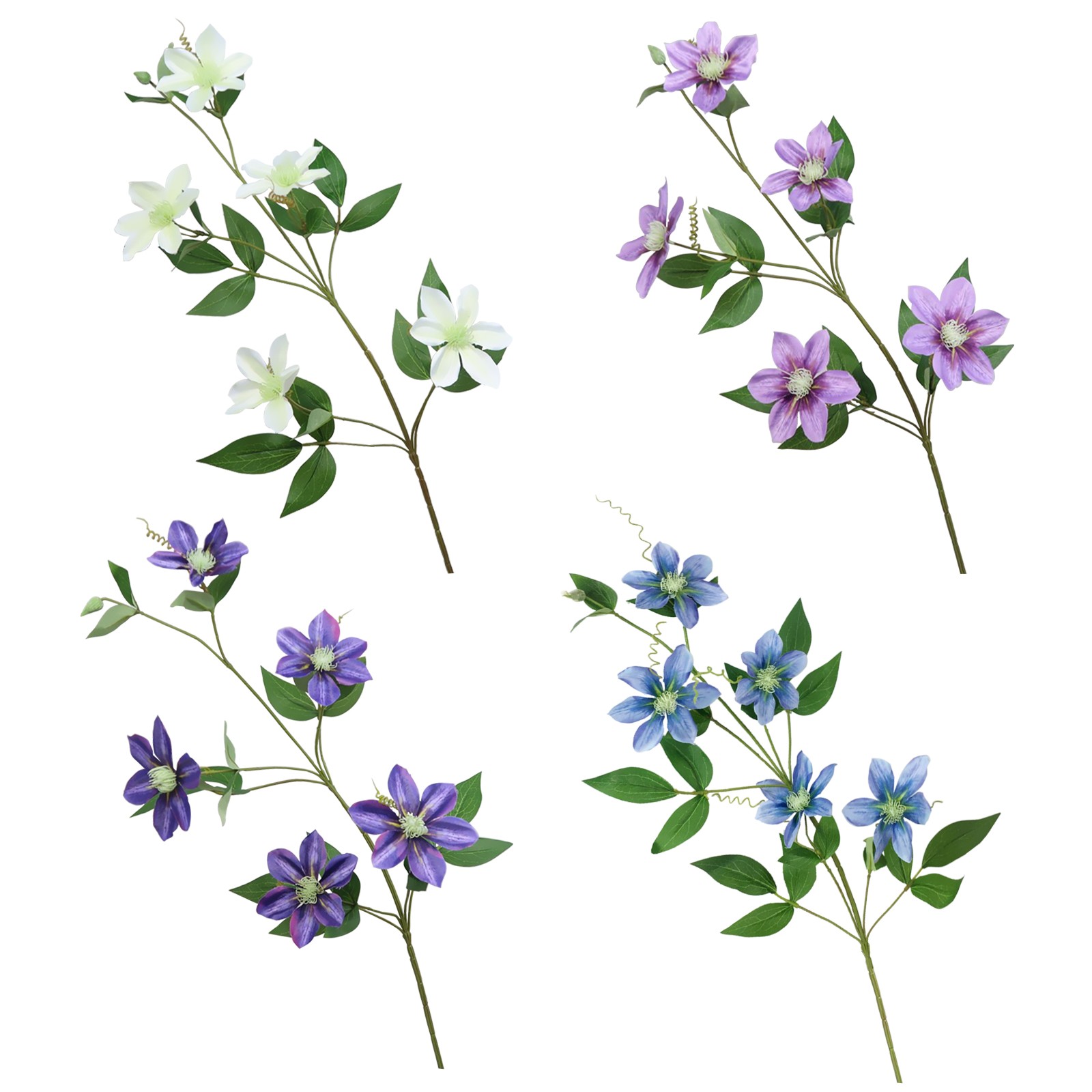 New European-style 5-headed Clematis – Deep Purple 85cm Tall Per Stem HOT