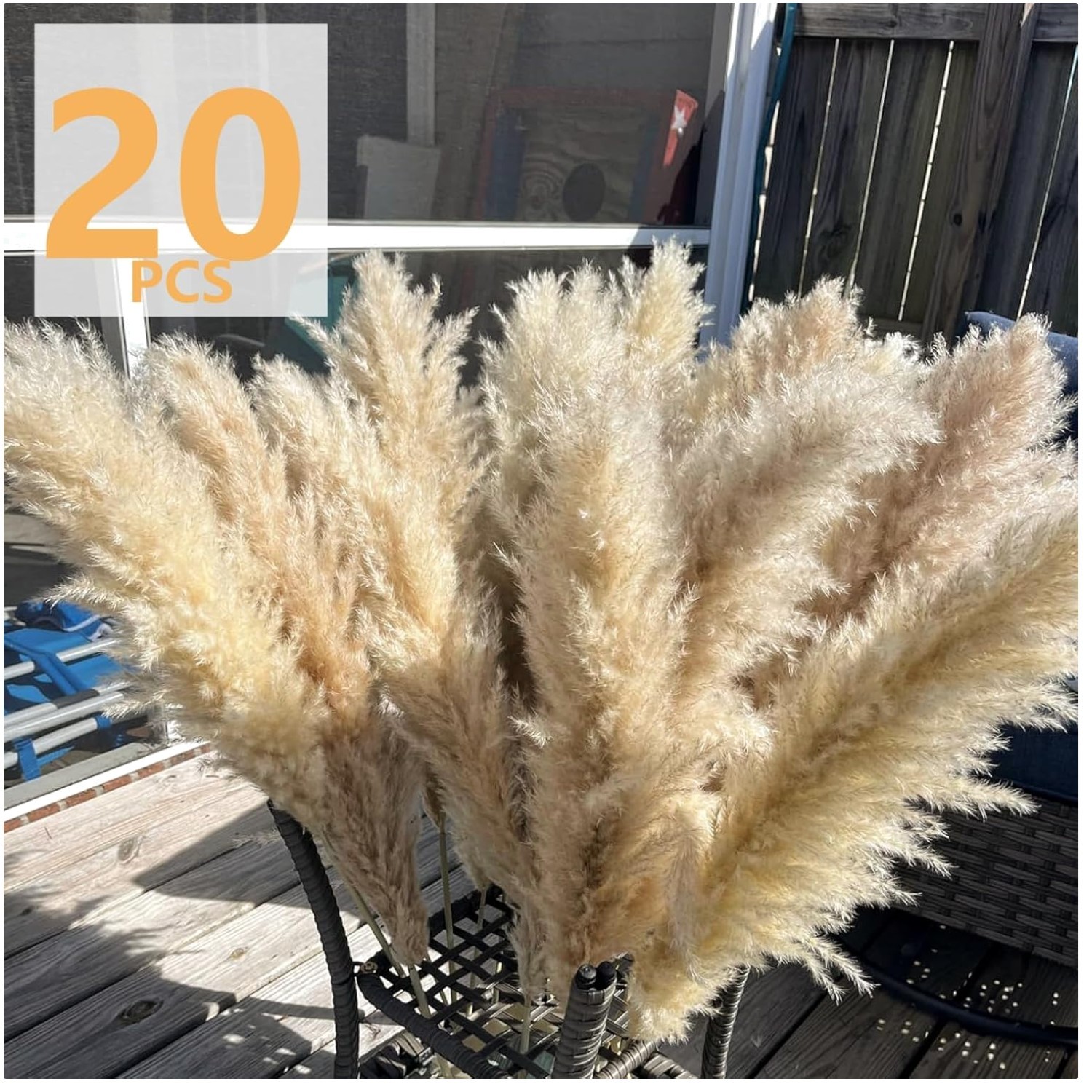 Large Pampas Grass Bundle for Weddings & Parties
