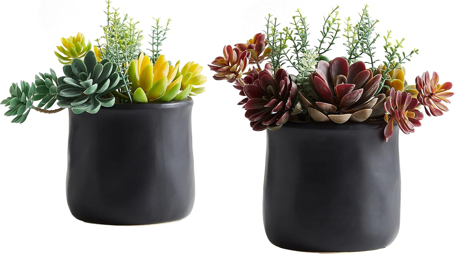 Artificial Succulent Plants in Ceramic Pots, Faux Assorted Succulents Fake Cactu