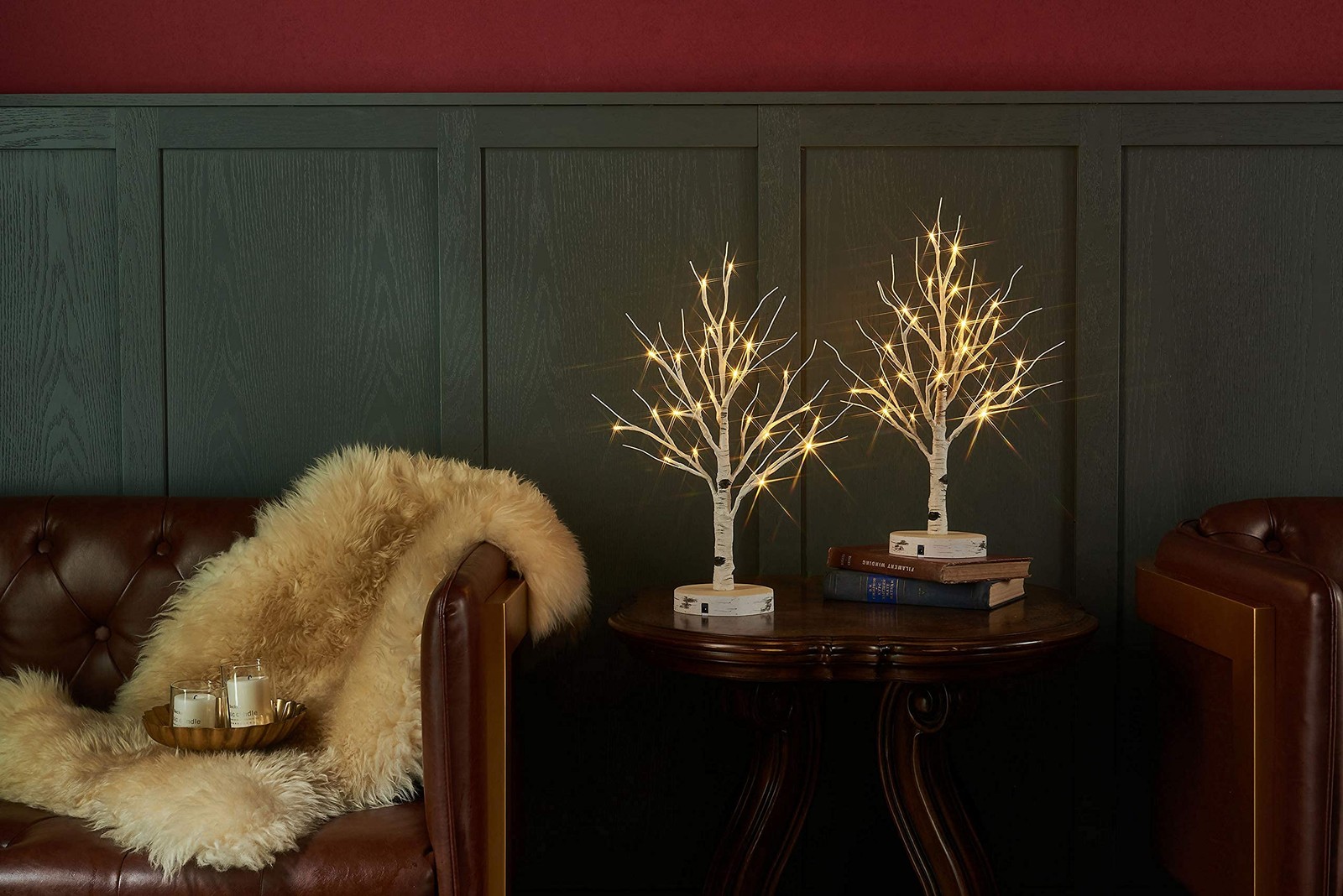 LITBLOOM Lighted Birch Tree with Timer Battery Operated or USB Plug-in 18IN 24 L