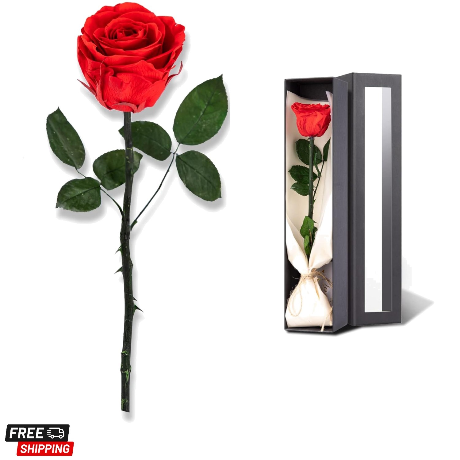 Flowers for Delivery Prime, Preserved Roses Flower Gifts for Women, Real Rose…