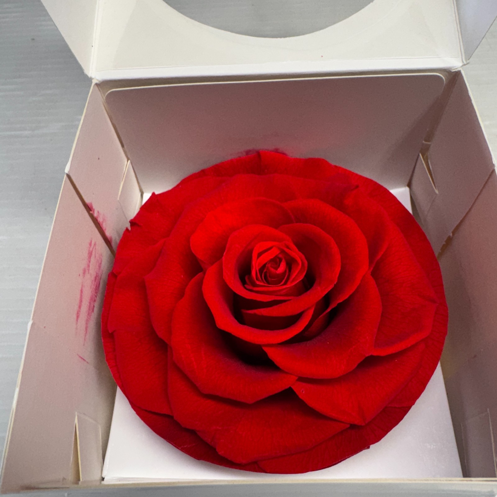Preserved Rose Gift Box Set Red & Pink Heart Rose Floral Decor 2 Pieces