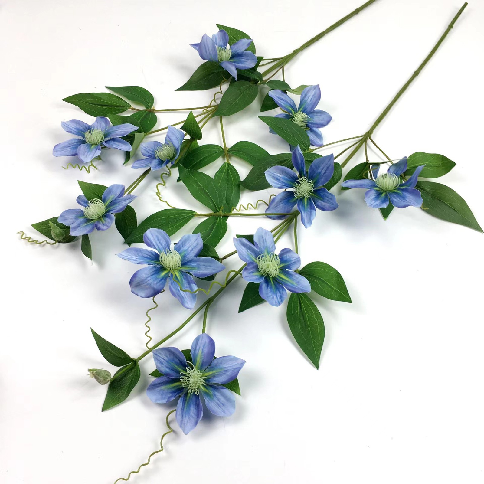 New European-style 5-headed Clematis – Deep Purple 85cm Tall Per Stem HOT