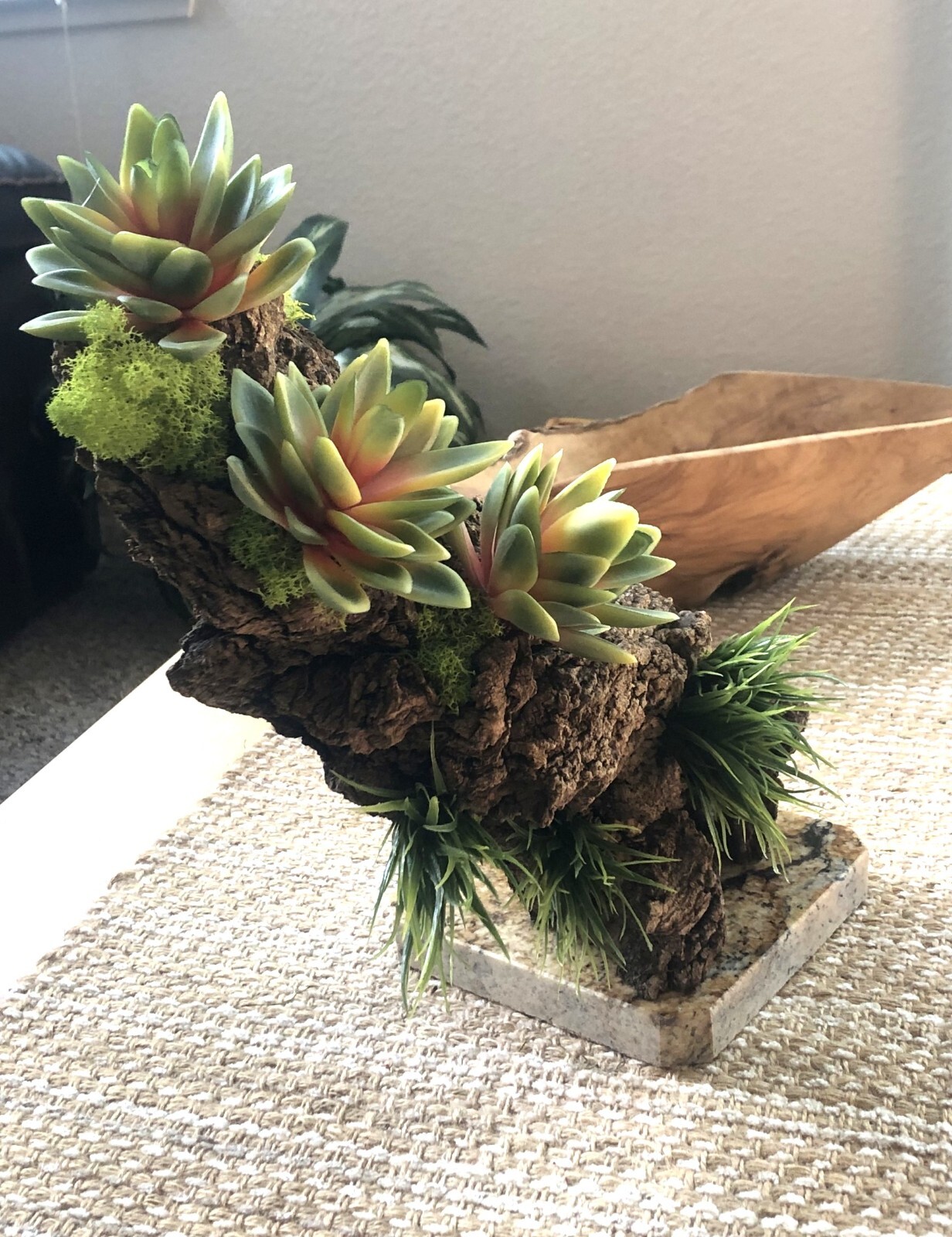 Artificial Succulent Air Plant Home Office Mounted on Real Wood Bark and Stone
