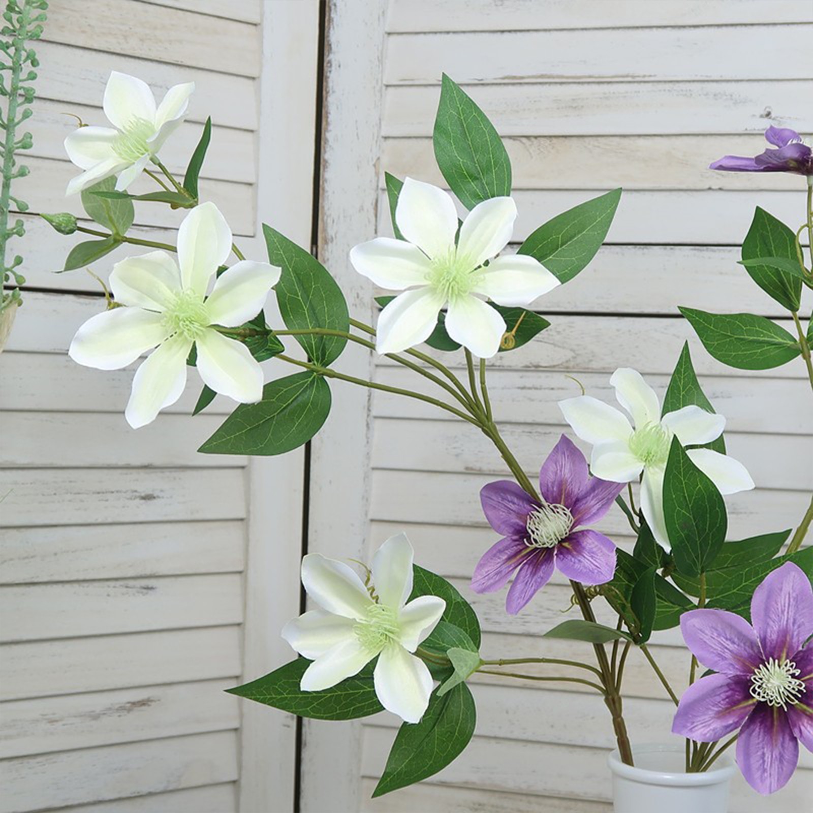 New European-style 5-headed Clematis – Deep Purple 85cm Tall Per Stem HOT