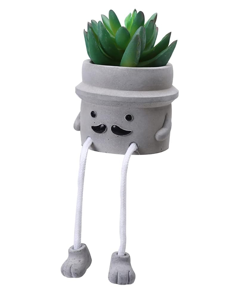 Small Fake Plants Shelf Mini Succulent Artificial Decor Faux Shy Grandpa