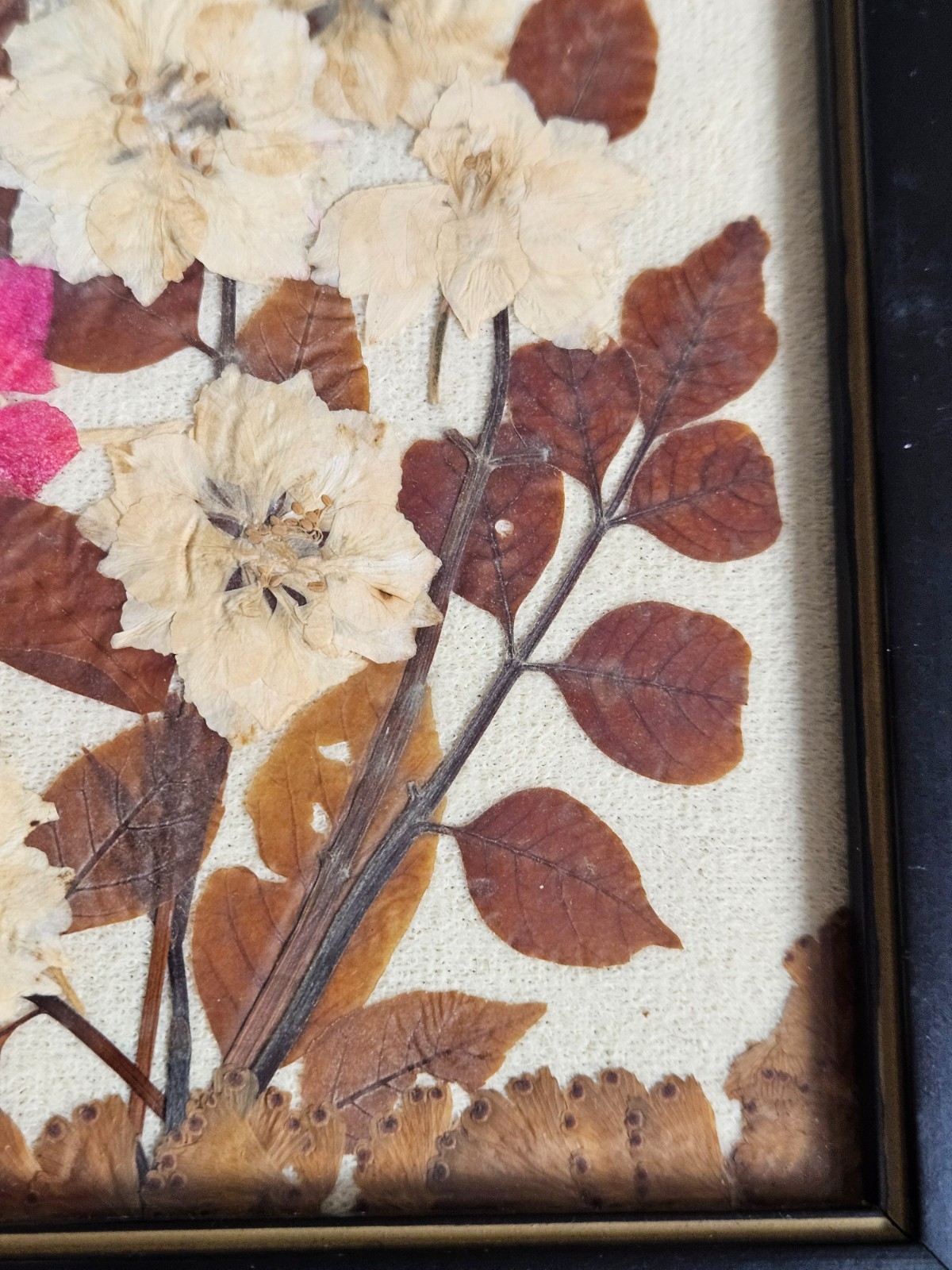 2 Vintage HENRIETTA BROWNIE STRONG Flowers BUTTERFLIES frame YORKTOWN HEIGHTS NY