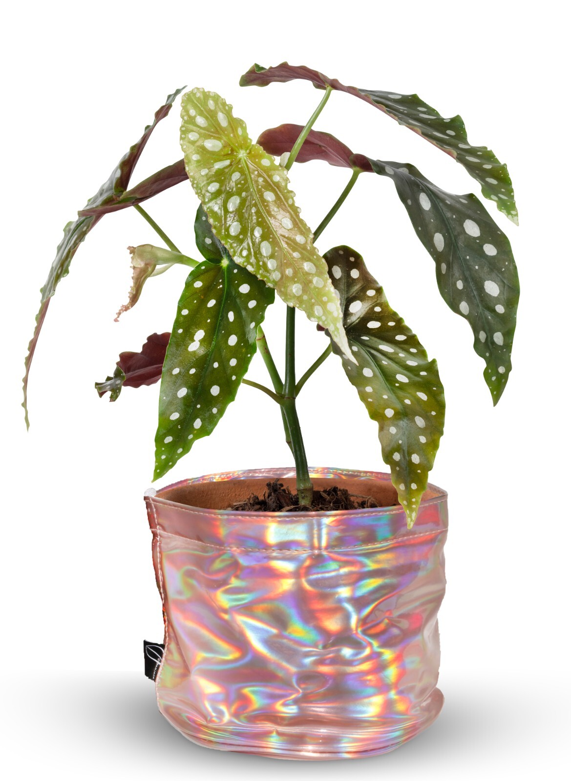 Decorative Flower Pot Cover With Saucer – Plant Basket for Up to 6″ Planter