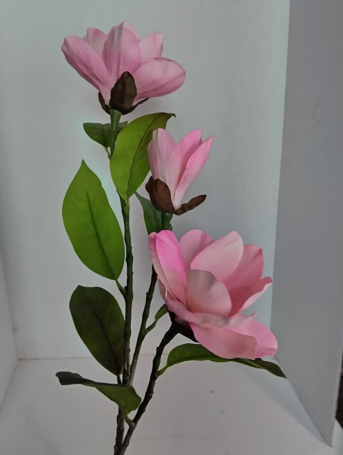 Magnolia stem bush PINK