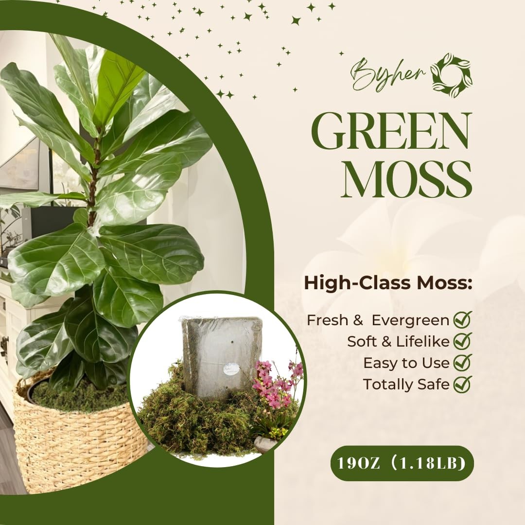 19 OZ Fake Moss for Potted Plants Indoor, Artificial Moss for DIY Crafts, Fau…