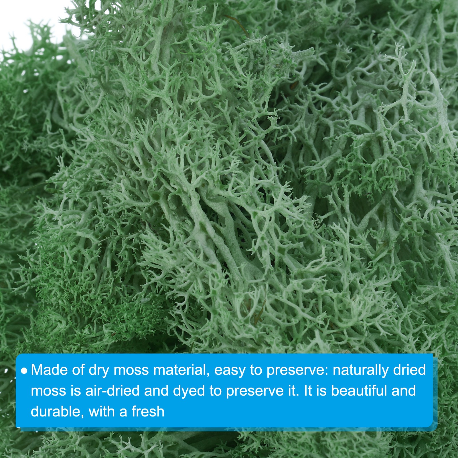 1.8 OZ Fake Moss Preserved Reindeer Moss Artificial Moss Lichen Emerald Green