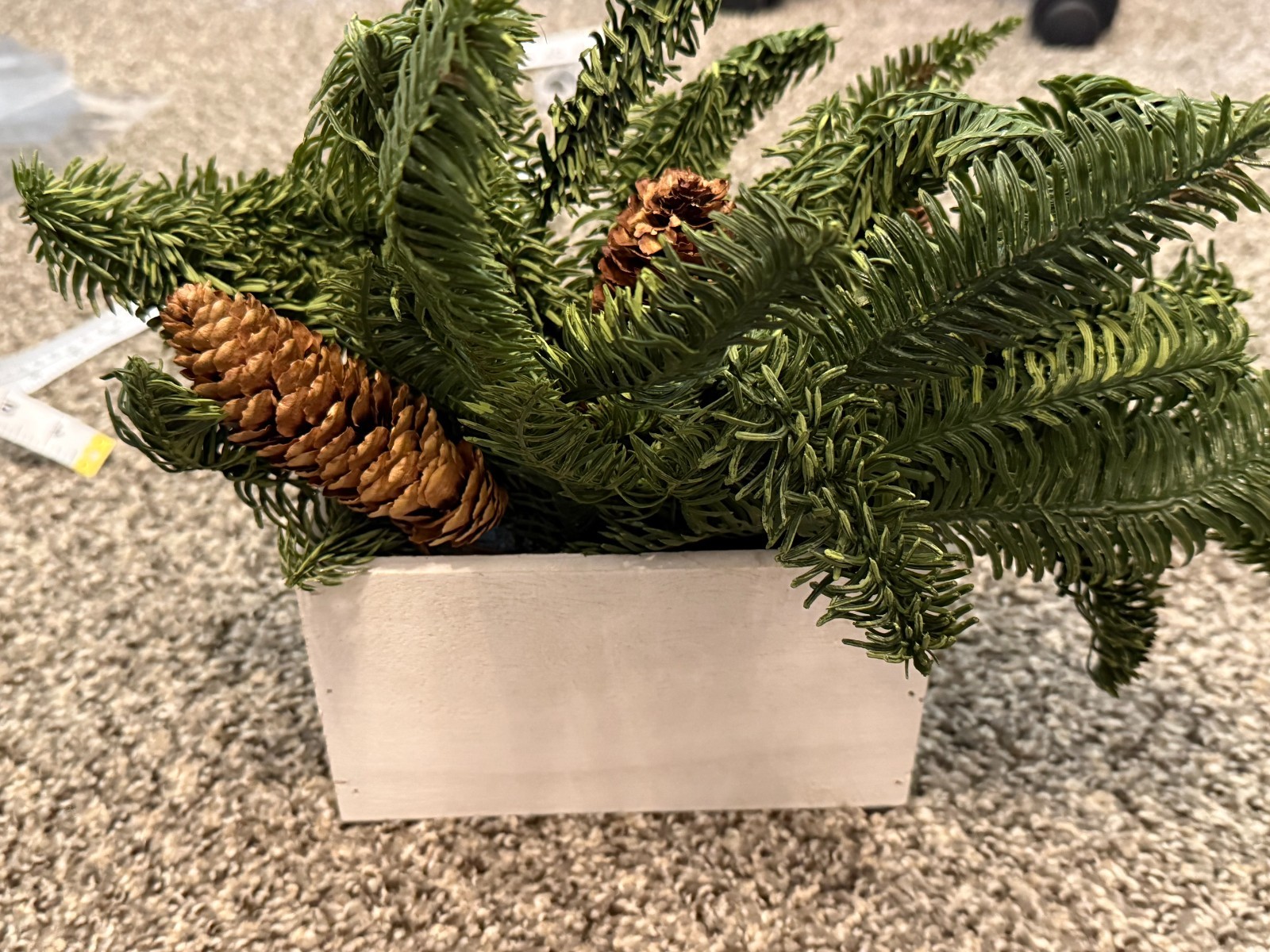 Decoration Fern and Pinecone in wooden planter box (7in by 4in by 3in deep)