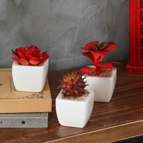 Assorted Artificial Red Succulent Plants, Fake Plants in Square Pots, Set of 3