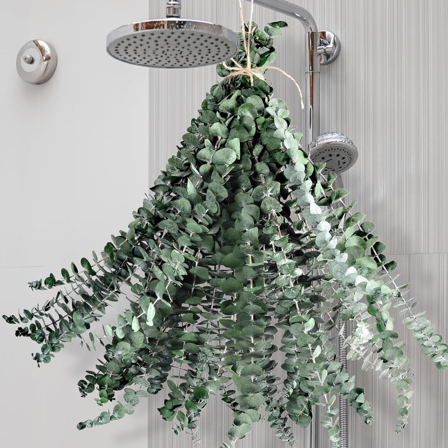 24 PCS Dried Eucalyptus for Shower Hanging 17 Preserved Eucalyptus Stem | Green