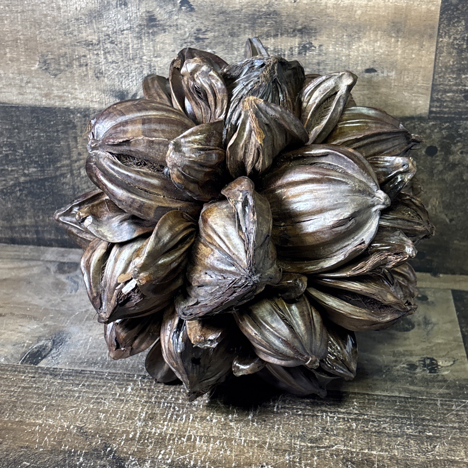 Vietnamese Water Coconut Nipa Palm Fruit Cluster Seed Pod Decor Decoration
