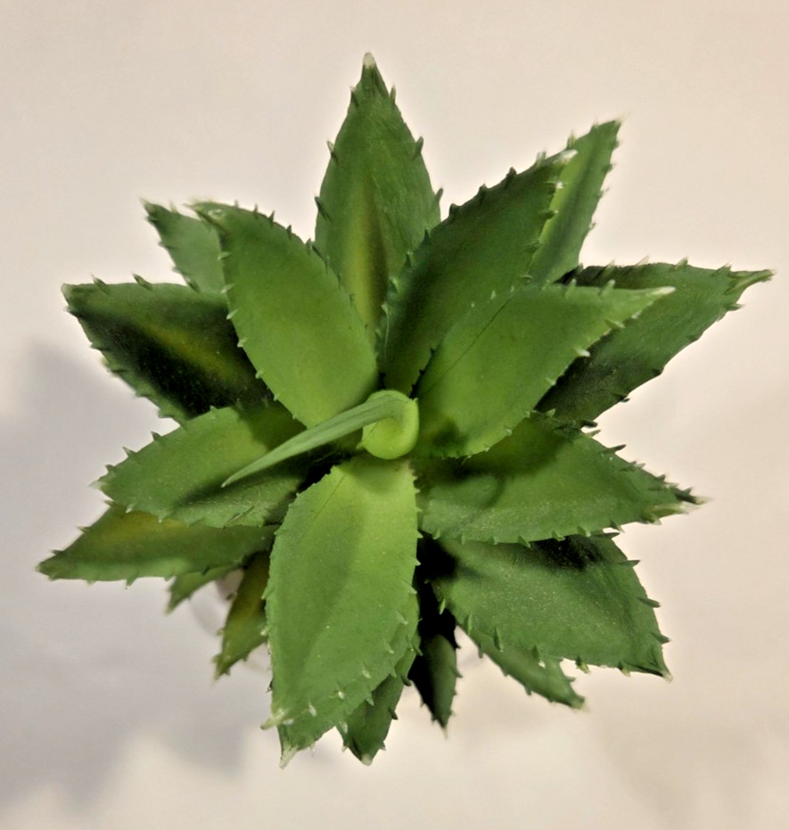 White Pineapple By Real Living Decorative Succulent Home Decor Faux Plant. New