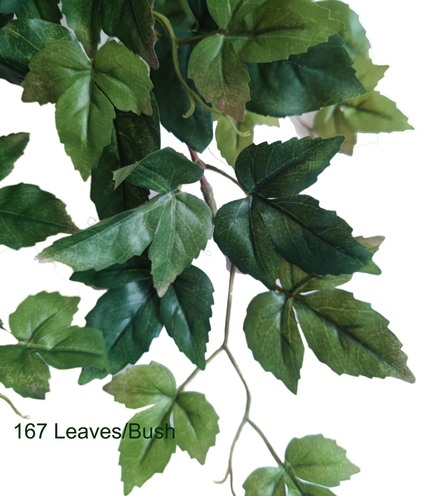Greenery Delux Maple Ivy Hanging Bush X9 Hanging bush, 34″H, 9 stems, 167Bleav