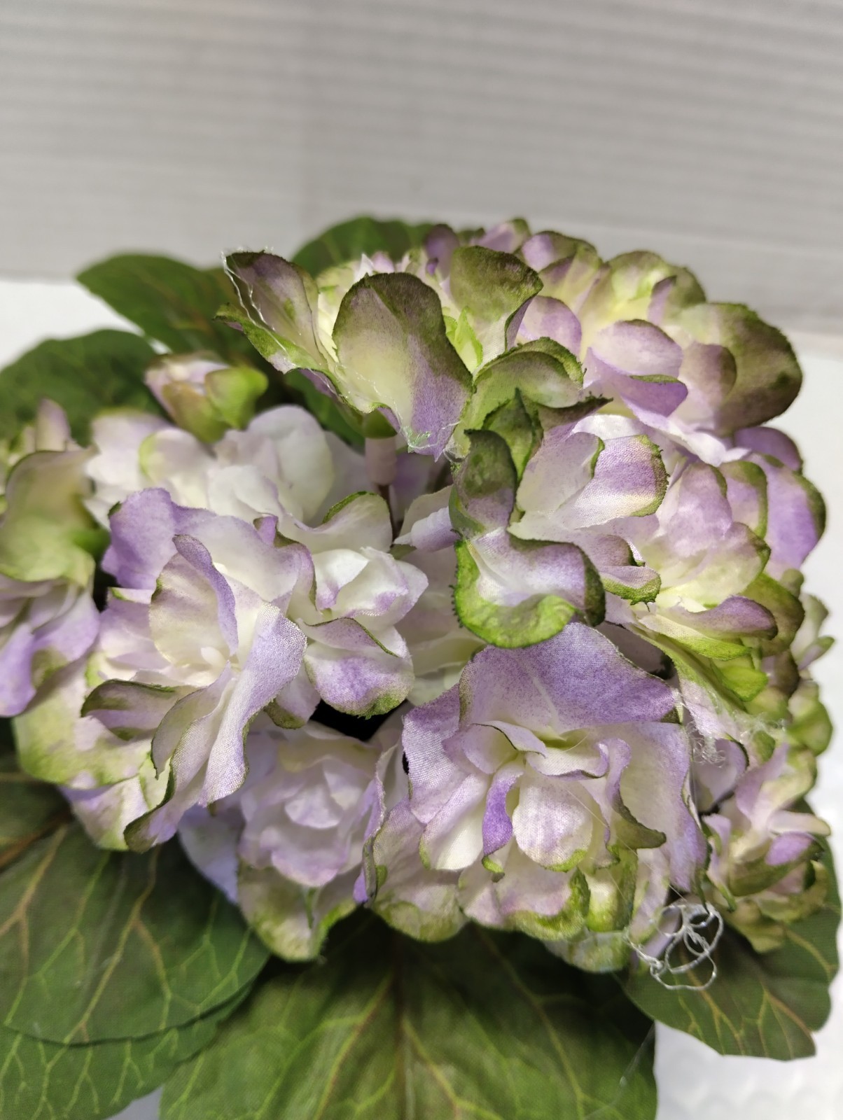 ARTIFICIAL 8″ Miniature African Violet – Purple With Green Edge