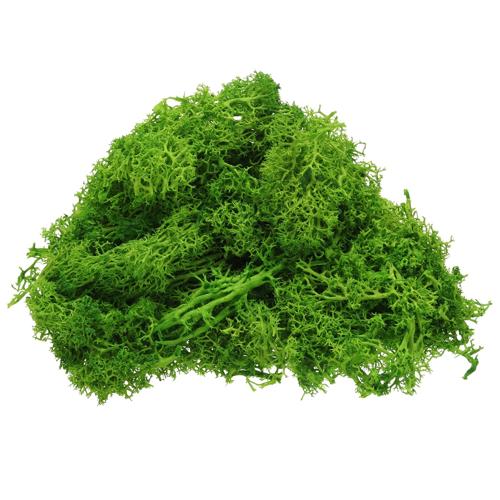 Preserved Reindeer Moss 4 OZ Fake Moss for Crafts Light Green
