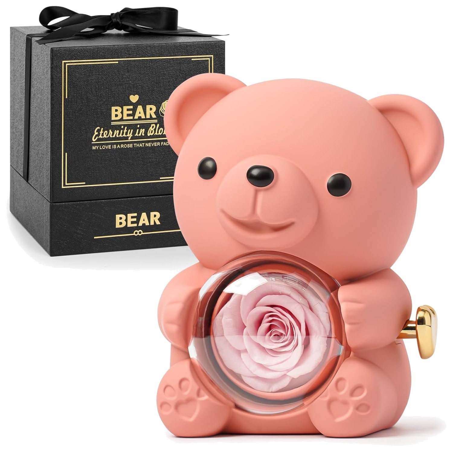 Real Preserved Rose Teddy Bear with Jewelry Compartment