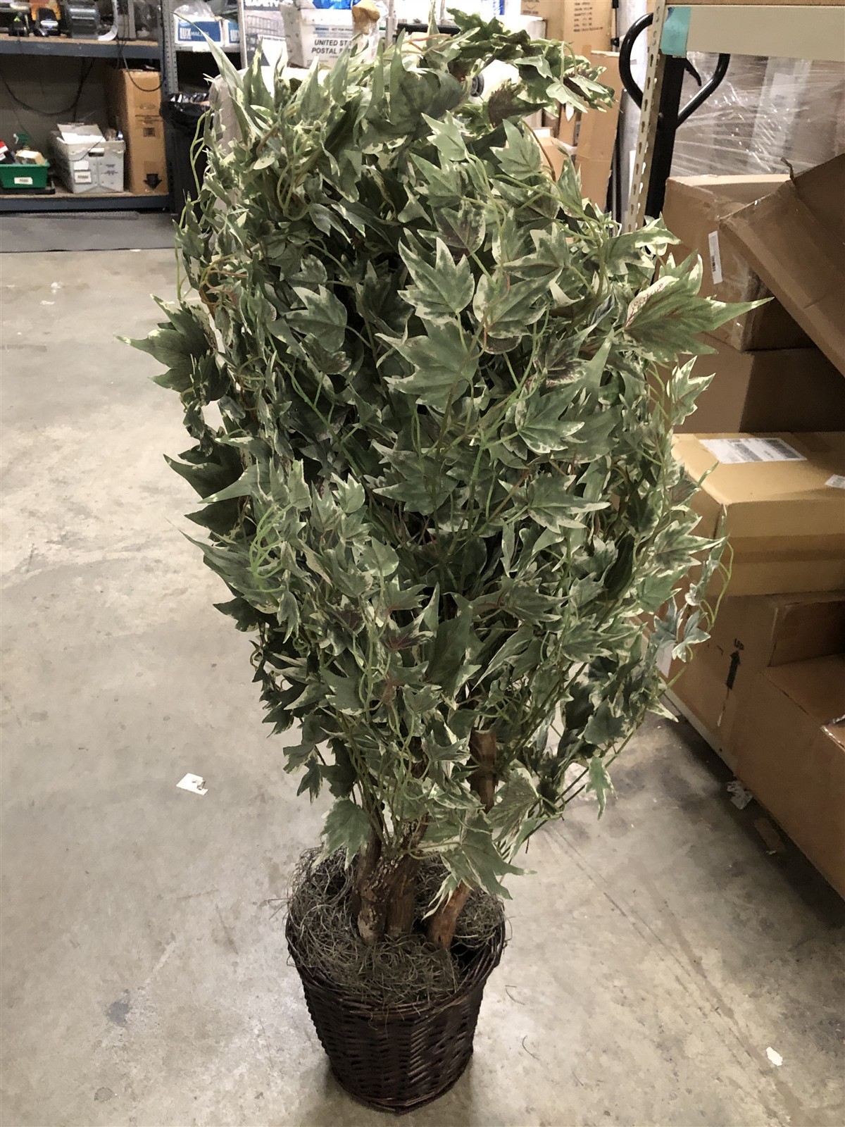 Vickerman TXX1640 4 ft. Silver Maple Extra Full