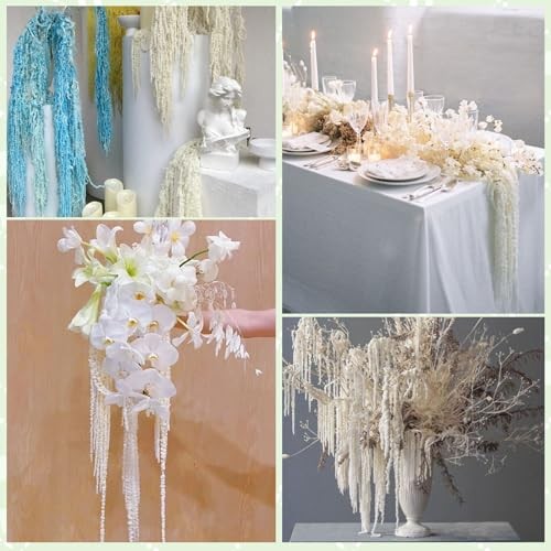 Pcs Natural Dried Wisteria Hanging Flowers – 23″ Bleached White Preserved 10