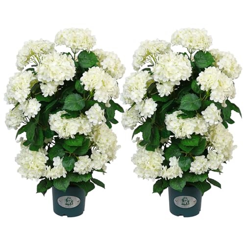 Faux Hydrangea Tree 30in Tall 2 Pack White Flowers