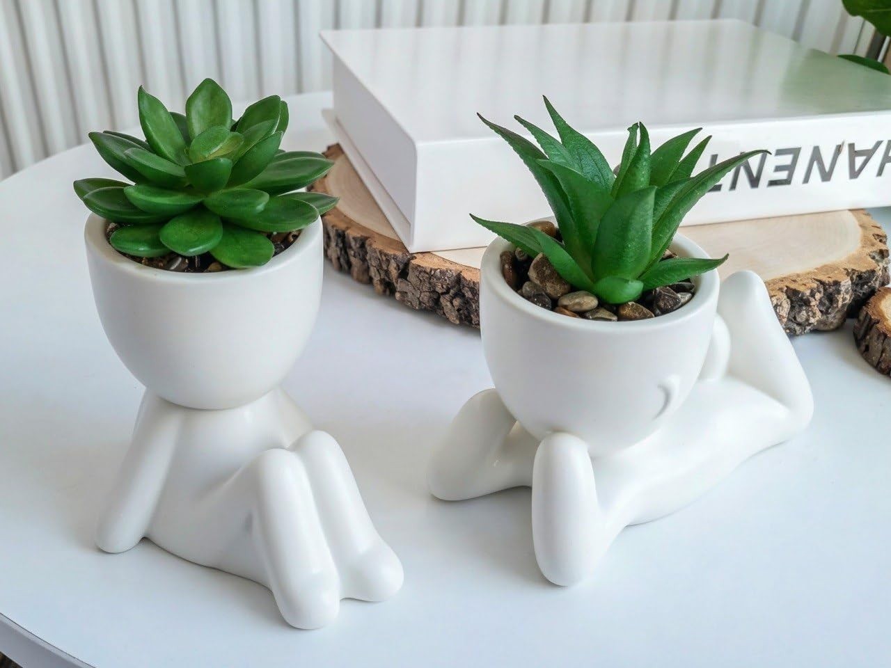 Indoor Ceramic Mini Fake Plants Collection – Perfect for Office and Home Decor