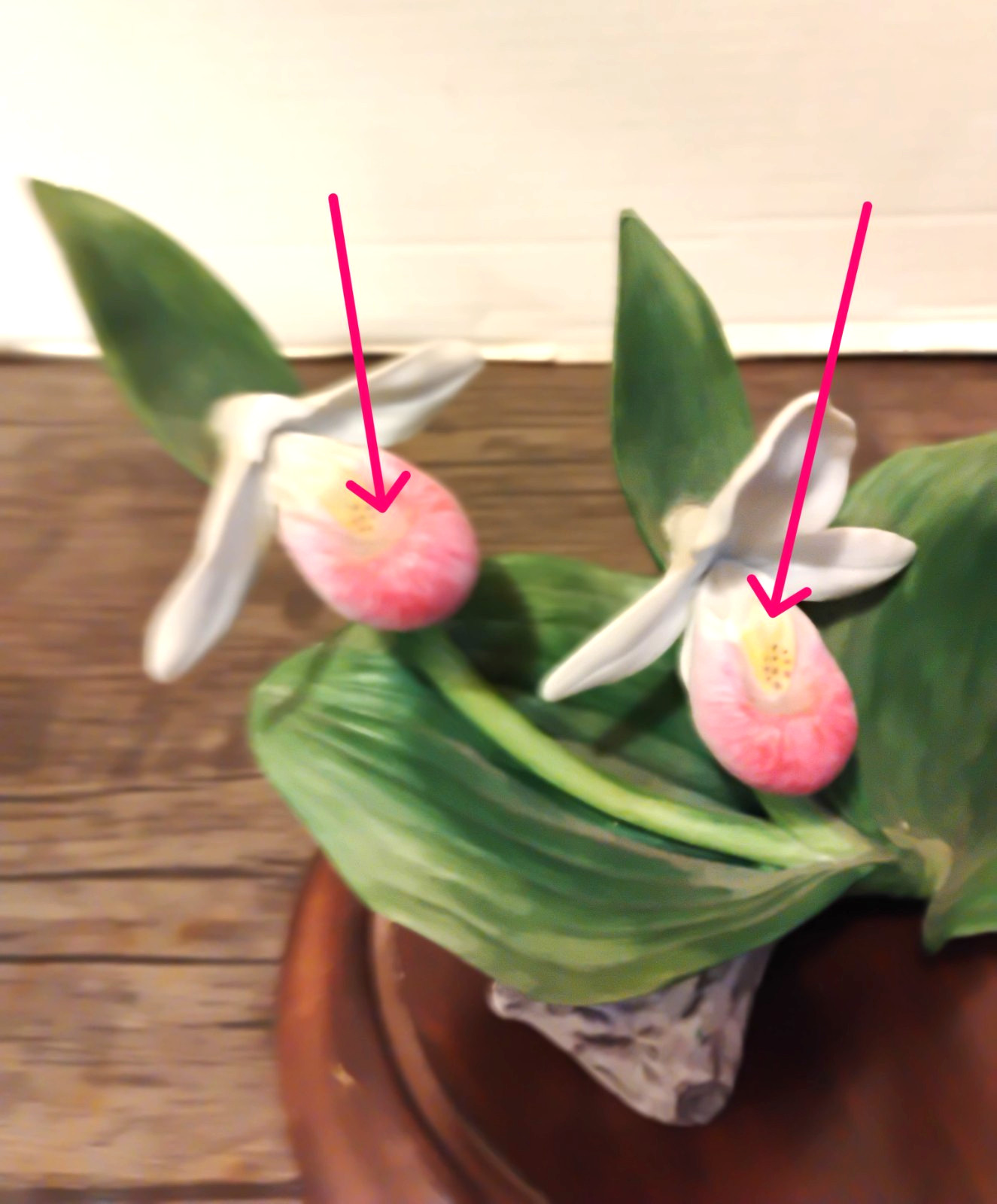 Bisque ‘Lady Slipper’ Cluster Celebrating Bachman’s Floral 100th Anniversary