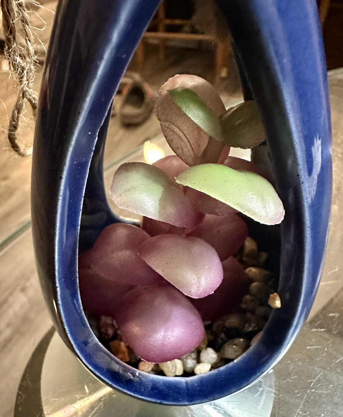 Cute Mini Hanging Succulent with Rocks Shaped Pod Hanging Art BRAND NEW!!!