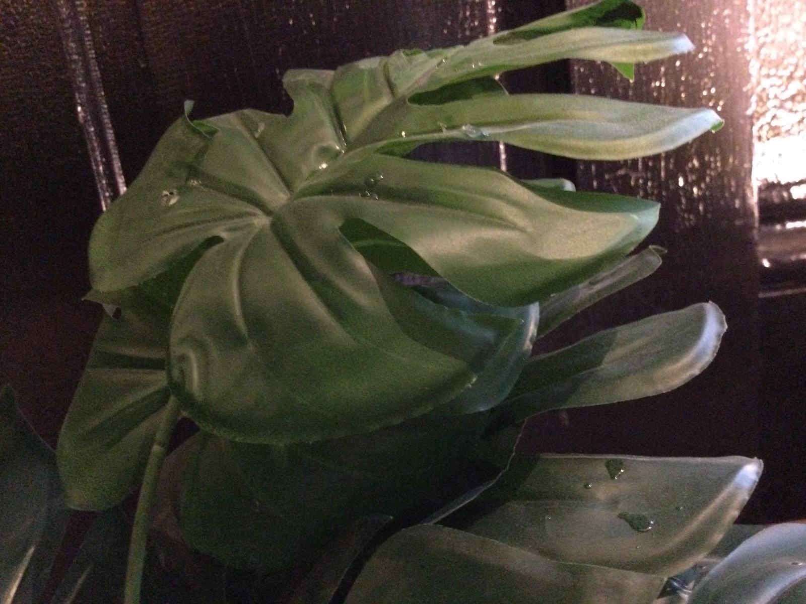 2 Small Artificial Fake Faux Plants➕Pots➕Stones 🌱Monstera➕Apple Leaf 📏16” Tall