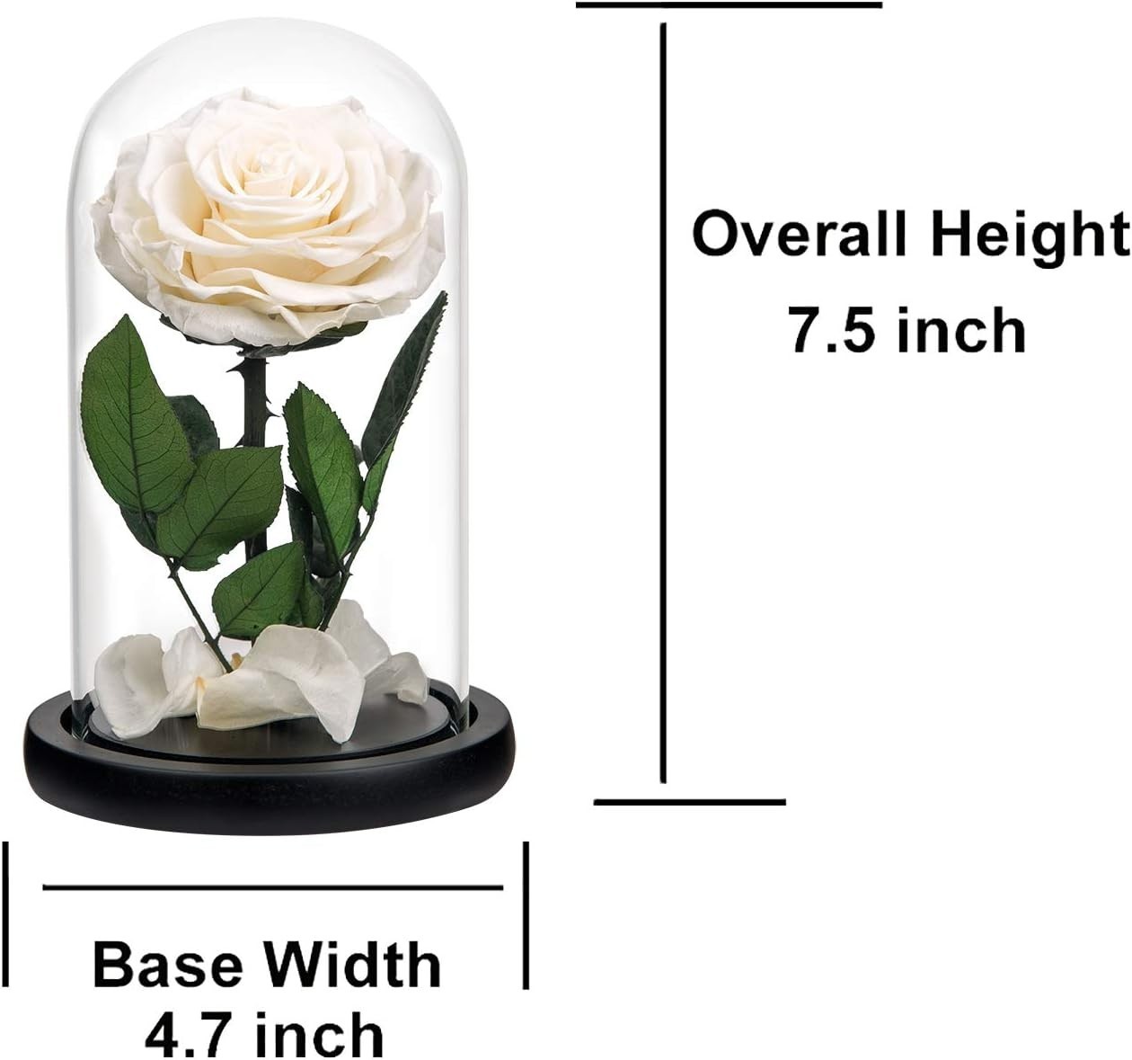 Stylish Glass Dome with Preserved Rose – Perfect Birthday or Mother’s Day Gift