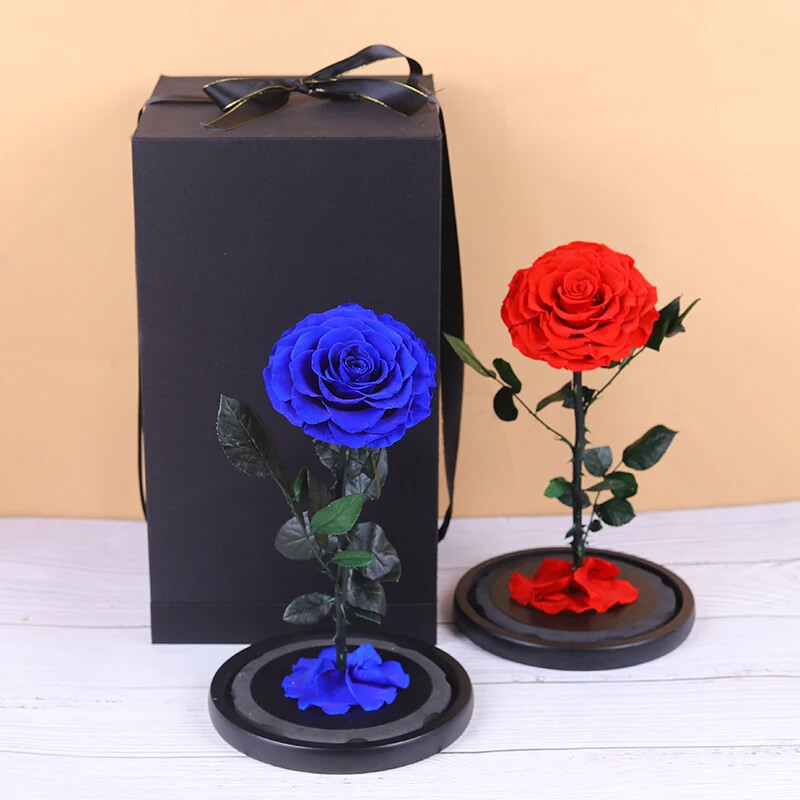 Unbreakable Love: Immortal Preserved Rose Dome – Valentine’s Day Gift