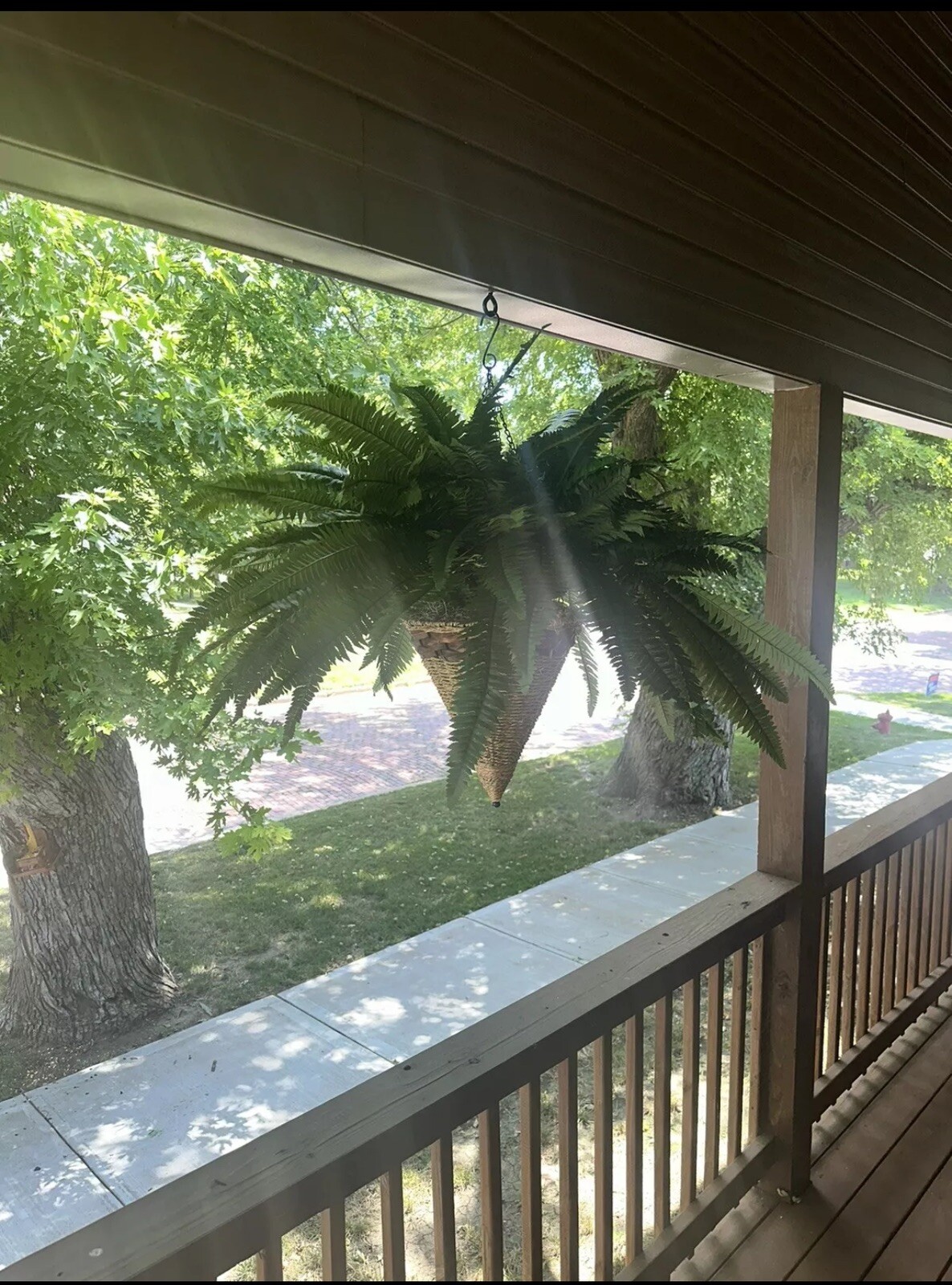 40” Artificial Giant Boston Fern w/Cone Hanging Basket Home Decor. Retail $202