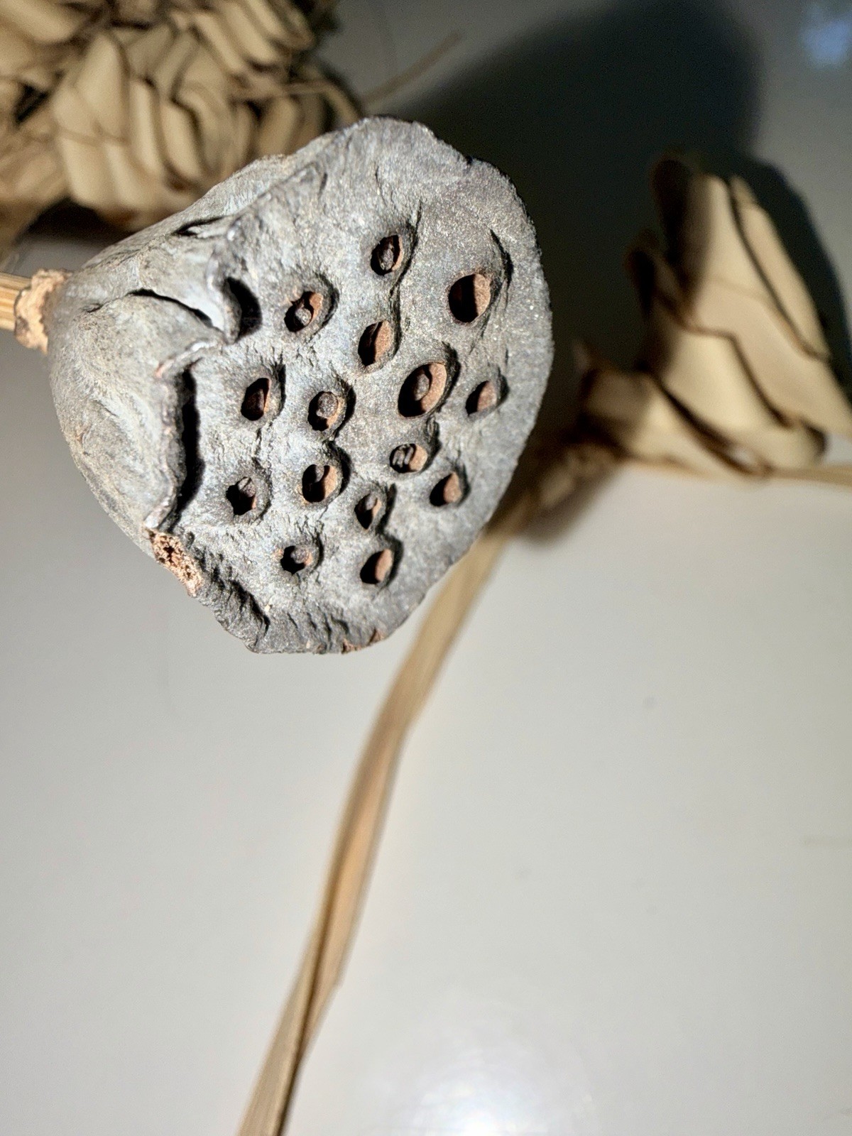 VTG Handmade Dried Palm Flower Bundle Natural Boho Floral Rustic Coastal Decor