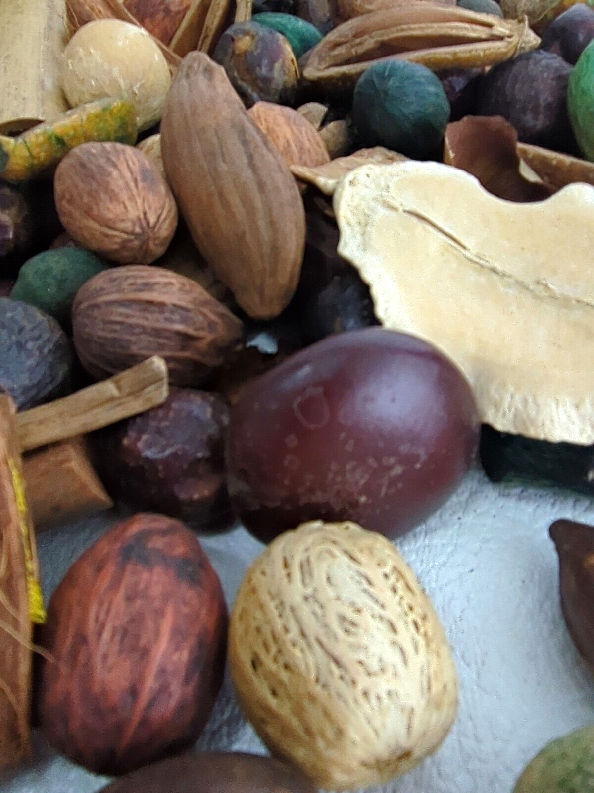 Dried Pods Bamboo Seeds Coconut Husk Table Scatter Crafts Wreaths Vase Filler