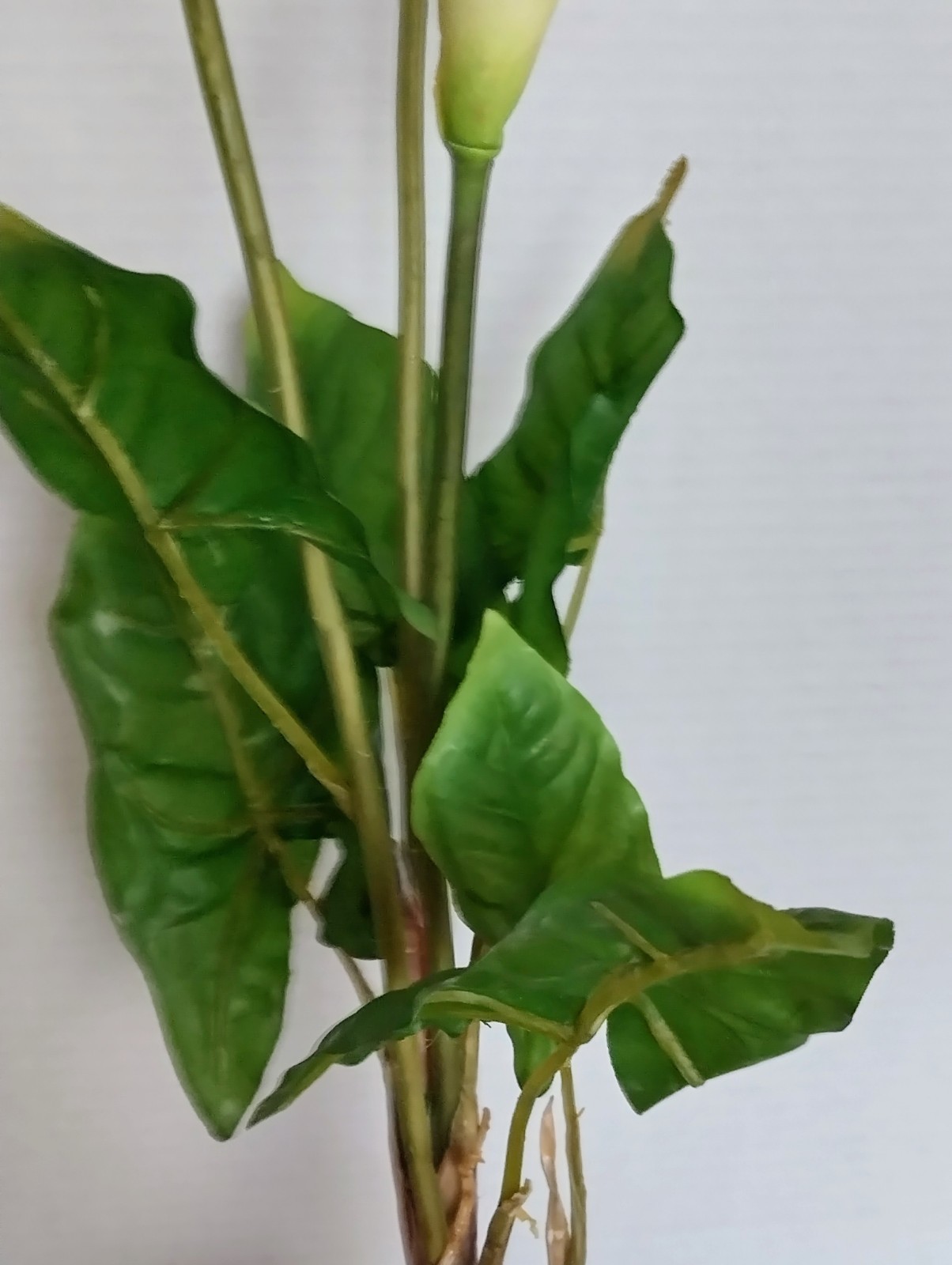 VINTAGE Calla Lily Bush