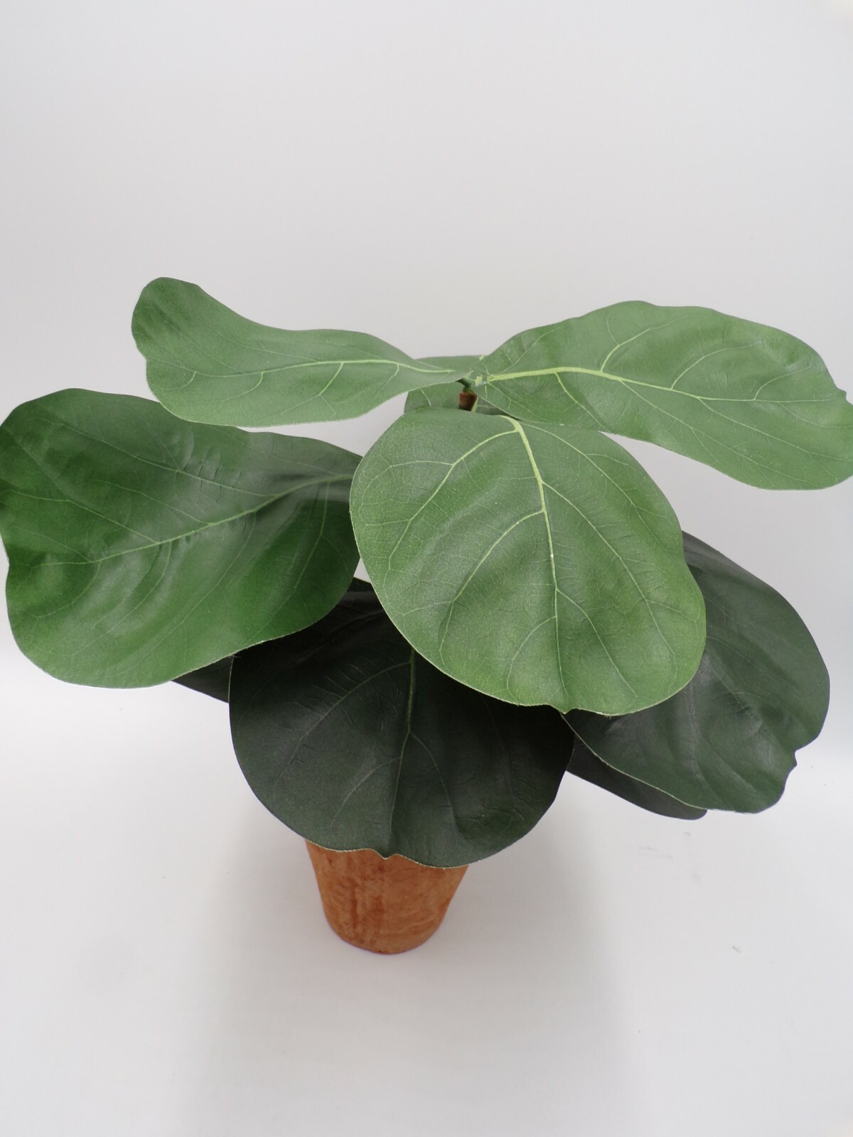 Pottery Barn Faux Potted Fiddle Leaf Houseplant with Terracotta Pot #2001M