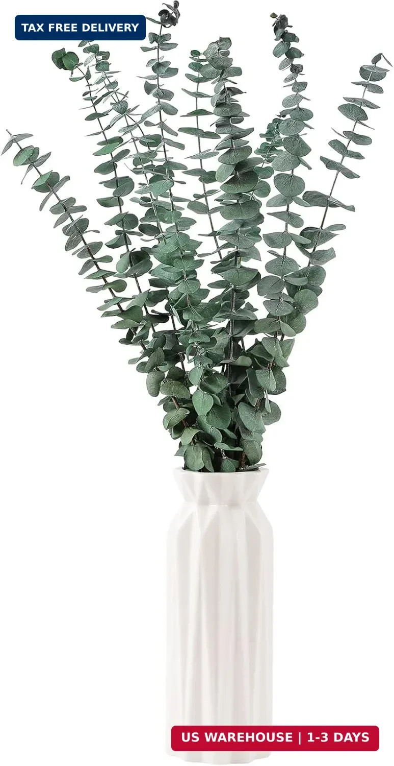 10 Pcs Dried Eucalyptus Stems 17″ Real Eucalyptus for Shower Hanging 100% Made f