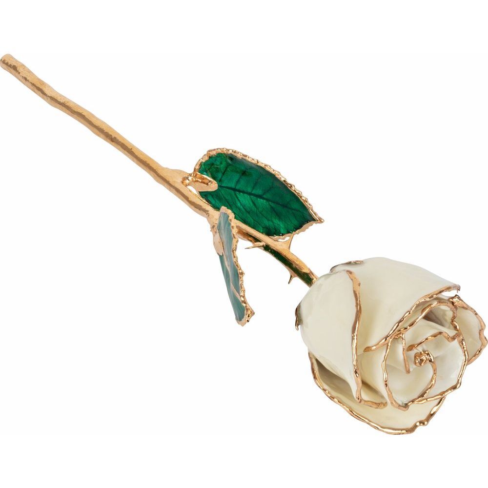24k Gold Dipped White Lacquer Real Rose Valentine’s Day Holiday Gift