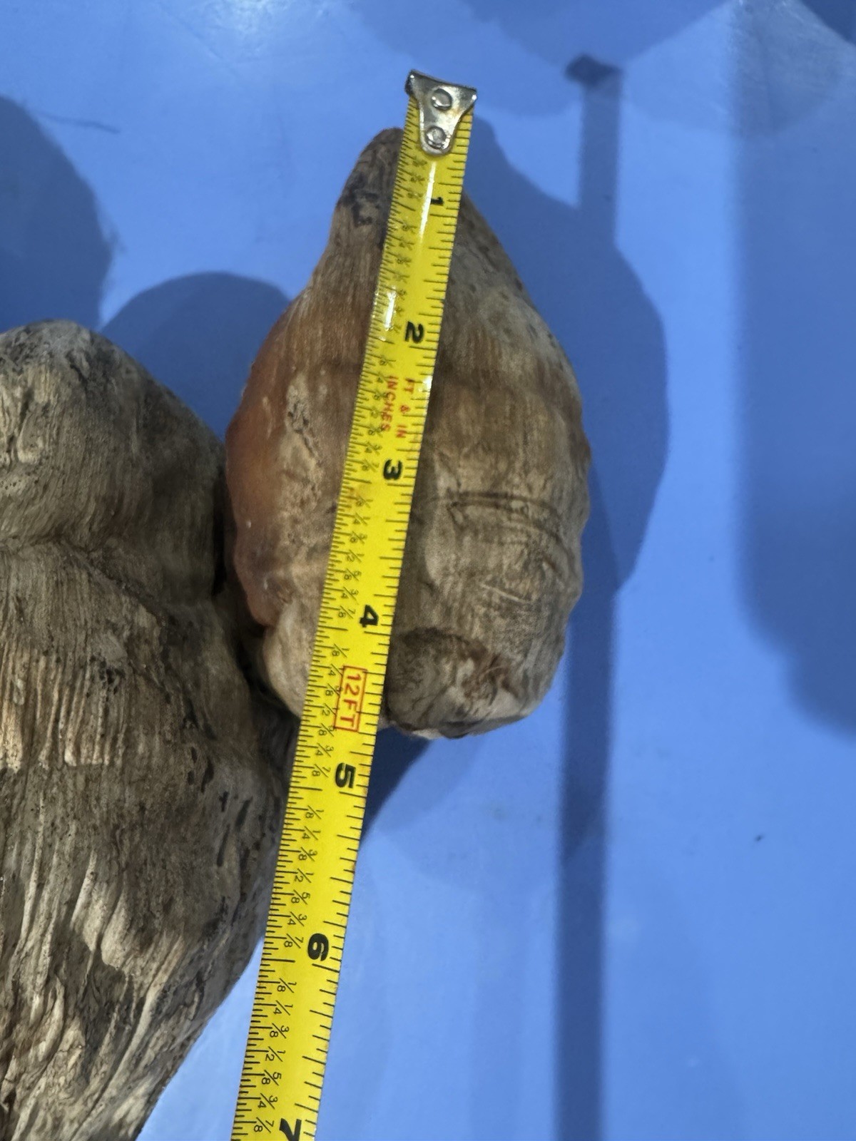 Lot Of 3 Large Coconut Jamaica Beach Whole Husk & Shell 7-9” organic texture