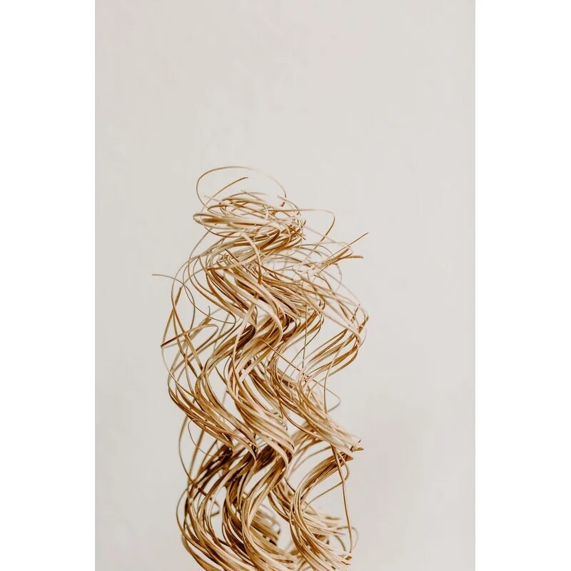 Curly Ting Pack of 35 Stems 3-4ft Natural