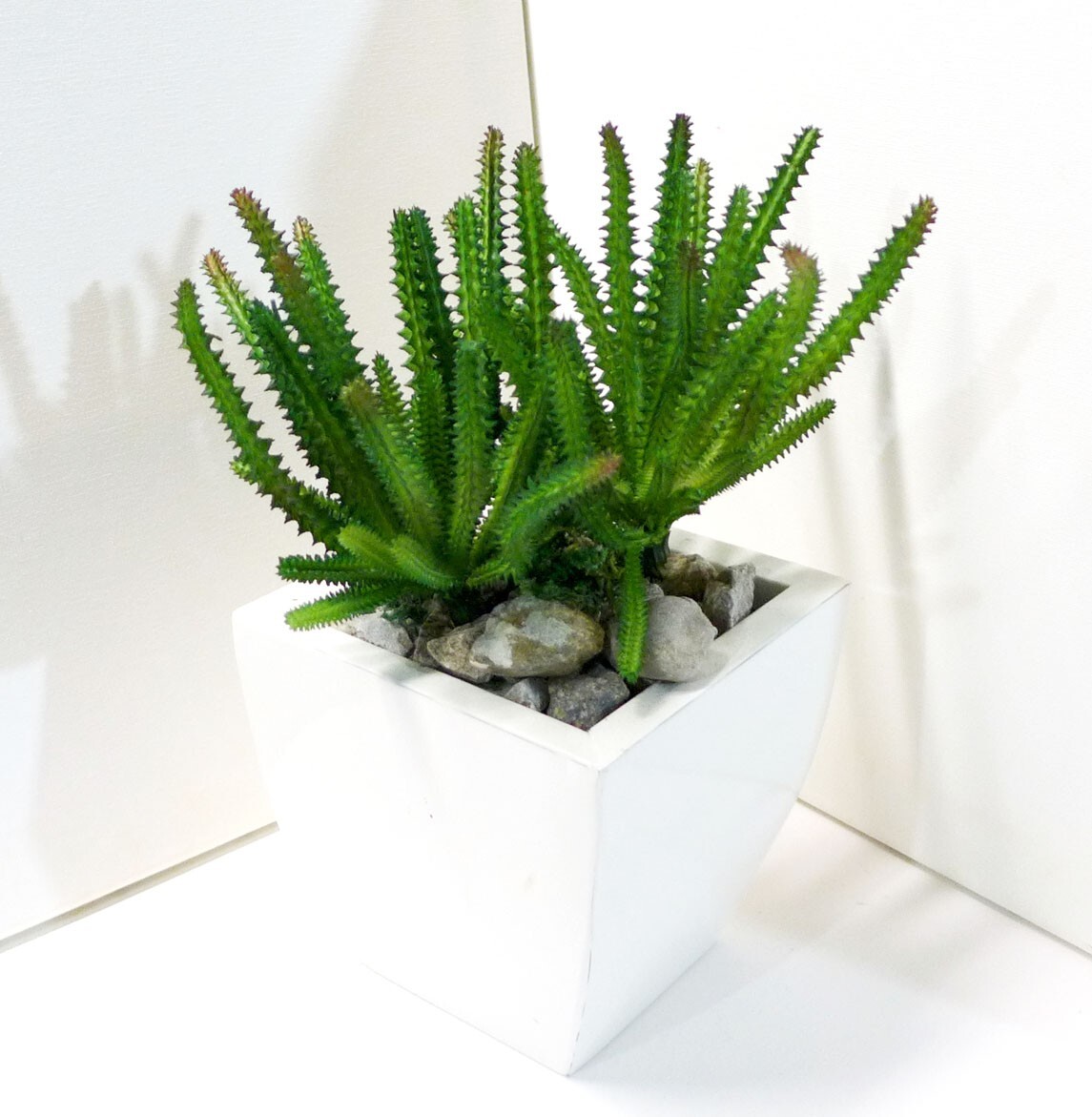 2 Pcs Artificial Fake Cactus Column Succulents Plants Green Home Garden (#123 B)
