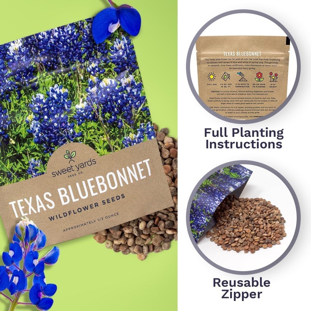 Texas Bluebonnet Wildflower Seeds – 1/2 Ounce Bulk Packet, 500+ Seeds