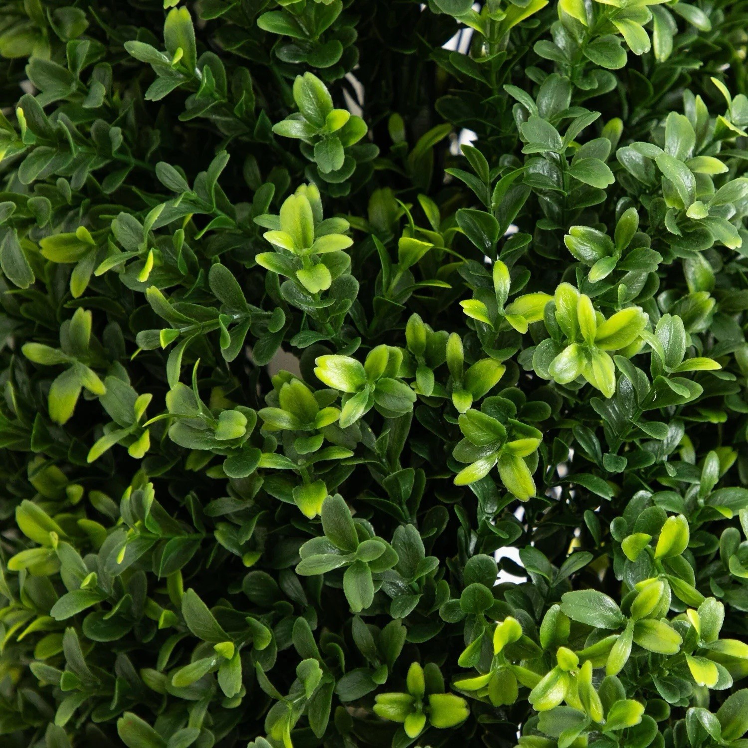 4’ Artificial Boxwood Plant with Integrated Ground Stake UV Resistant Set of 2.