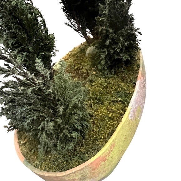 FOREVER GREEN ART Potted Quartet Mini Cypress Tree In Oval Terra Cotta Planter