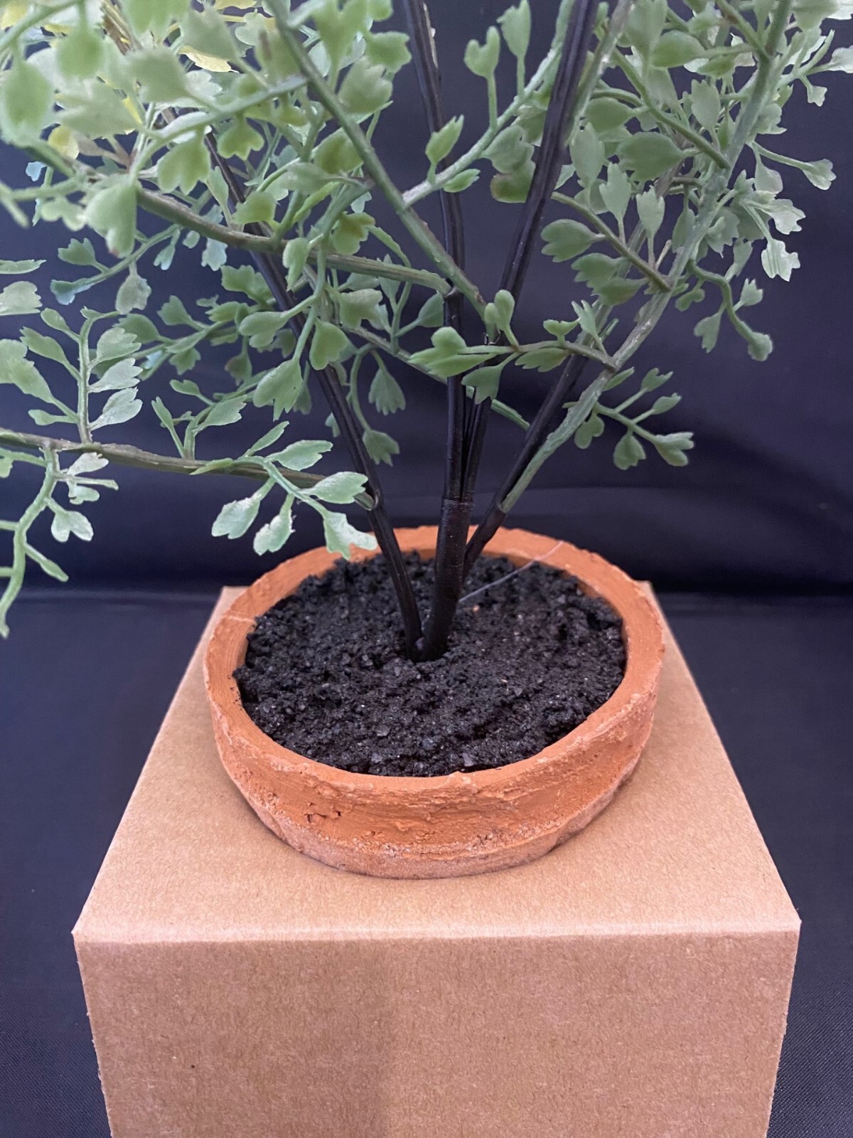 NEW Pottery Barn Faux Southern Mini Maiden Hair Fern in Terra Cotta Potted NWT