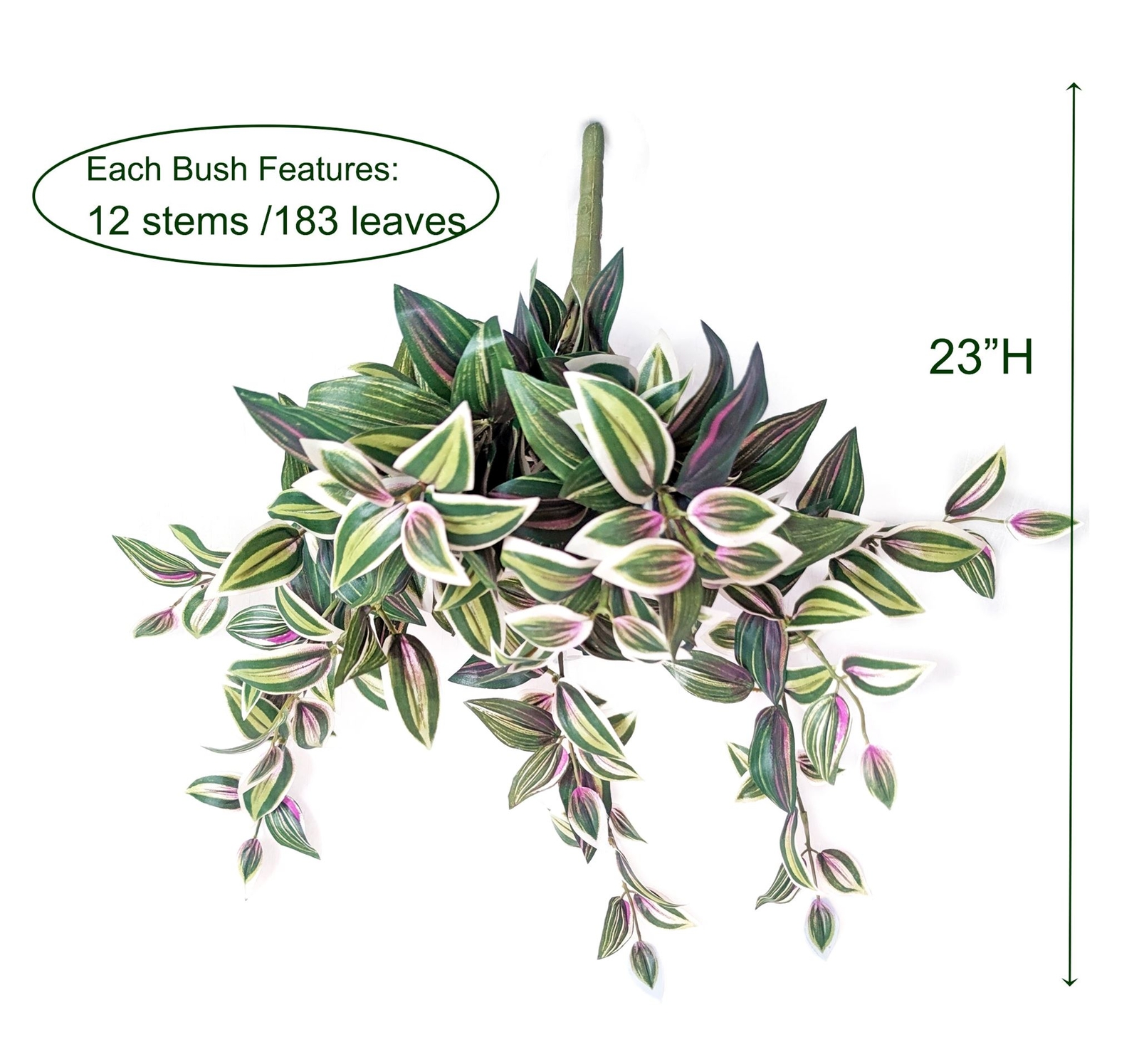 Greenery Hanging bush, Wandering Jew, 23″H, 12 stems, 183 leaves